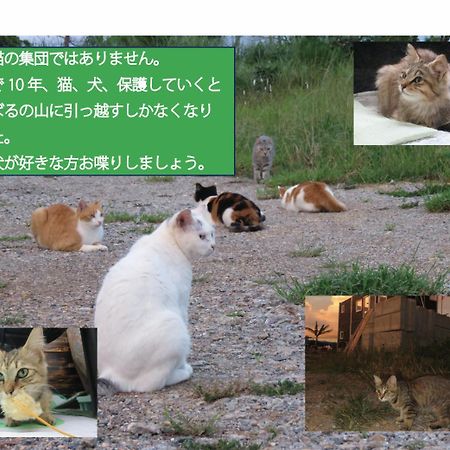 Vila Okinawa Freedom Nakijin Exteriér fotografie