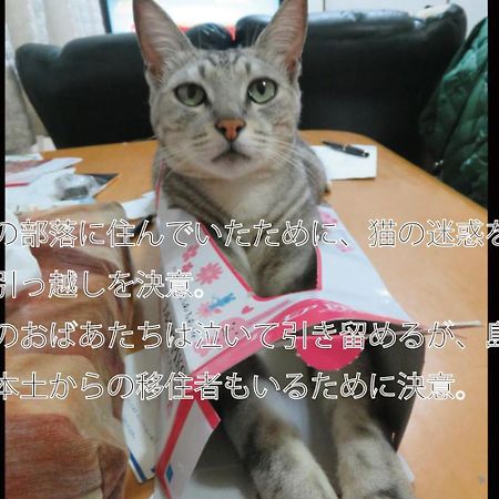 Vila Okinawa Freedom Nakijin Exteriér fotografie
