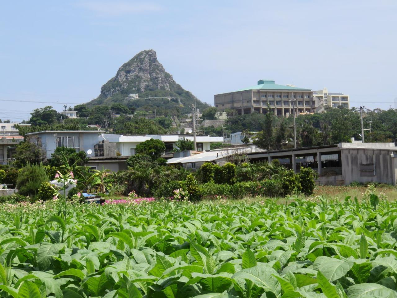 Vila Okinawa Freedom Nakijin Exteriér fotografie