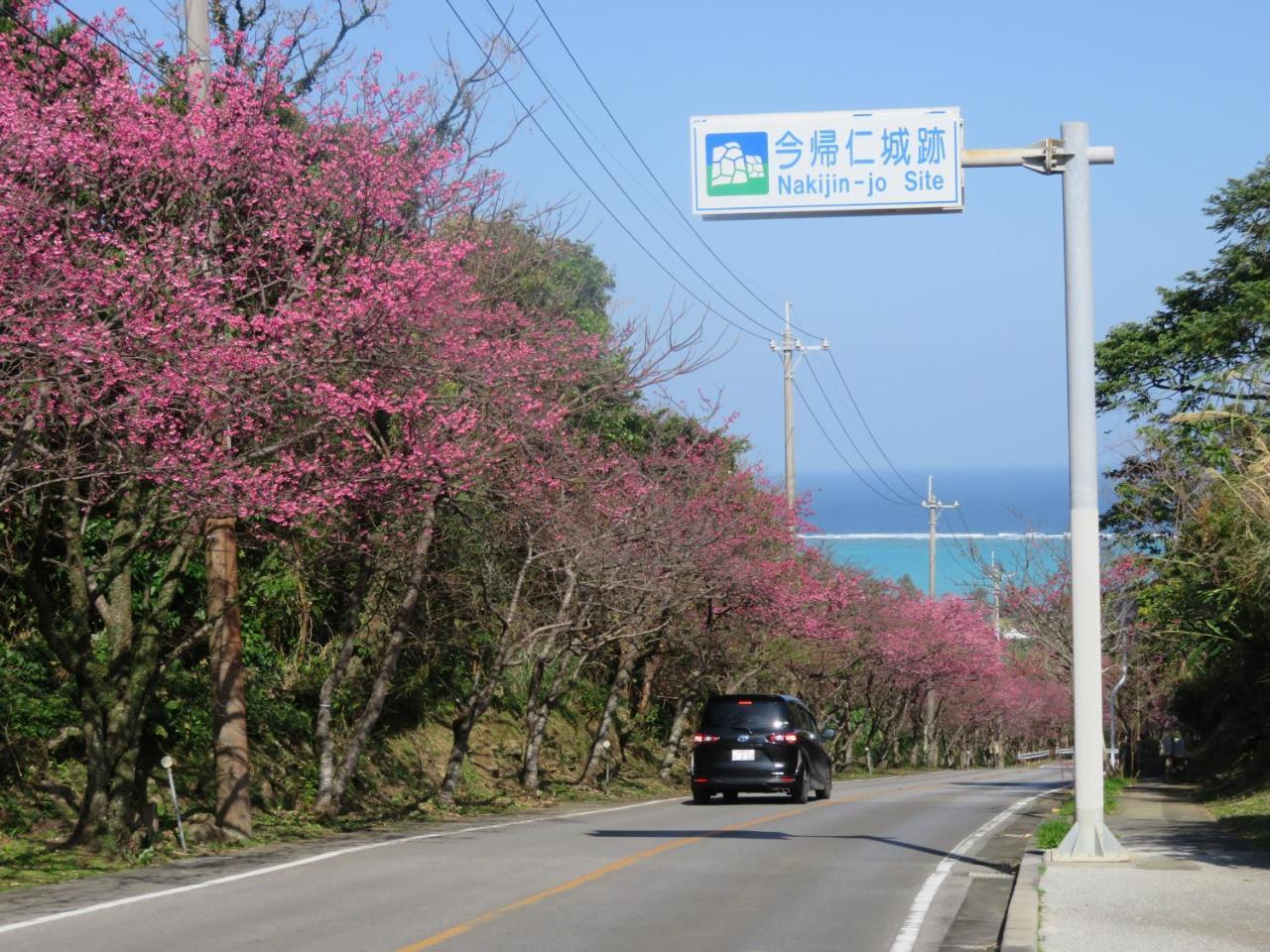Vila Okinawa Freedom Nakijin Exteriér fotografie