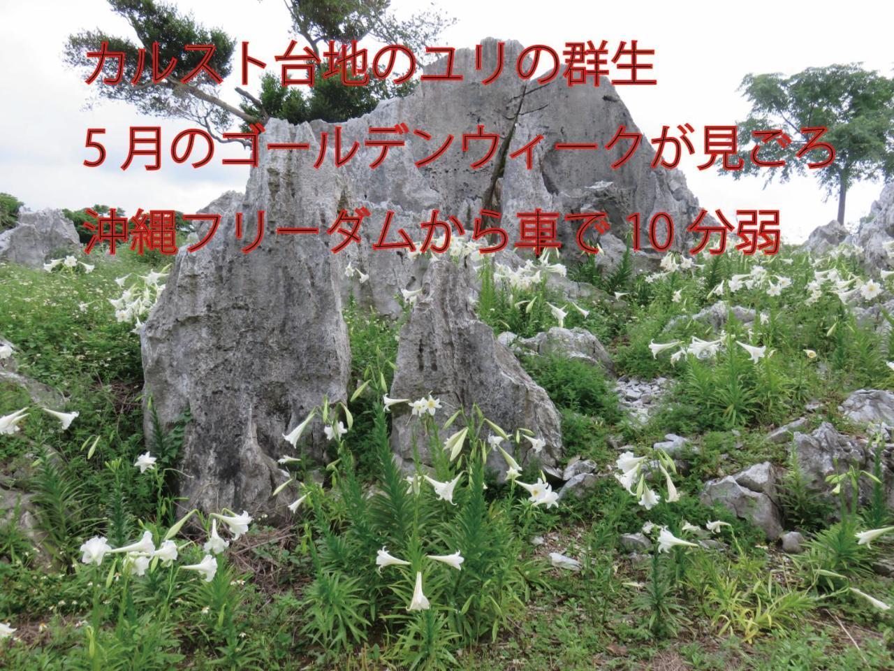 Vila Okinawa Freedom Nakijin Exteriér fotografie