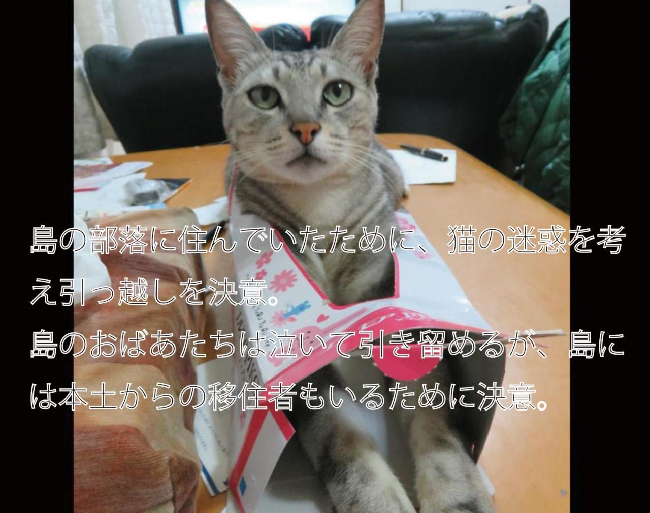 Vila Okinawa Freedom Nakijin Exteriér fotografie