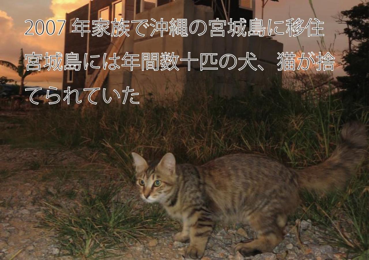 Vila Okinawa Freedom Nakijin Exteriér fotografie