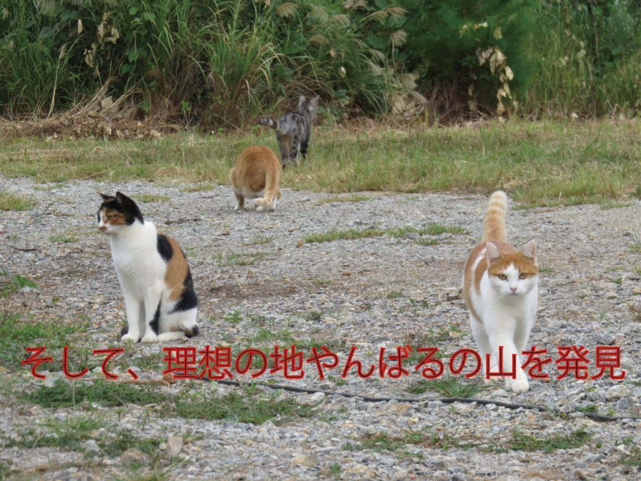 Vila Okinawa Freedom Nakijin Exteriér fotografie